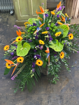 Coffin spray : Tropical