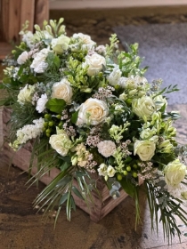 Coffin Spray: Classic Ivory / white
